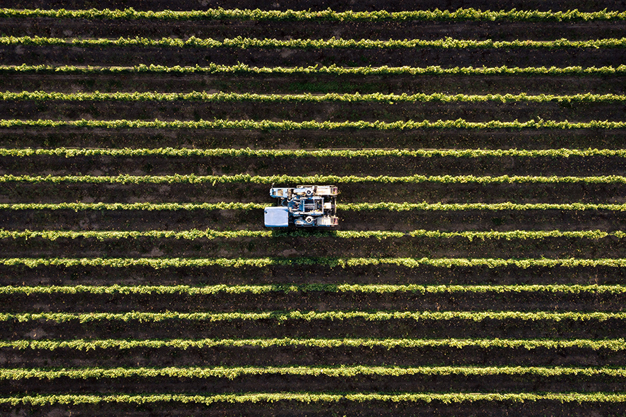 Machinery in a crop.